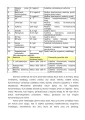 Alaus gamybos technologija 13 puslapis