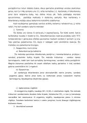 Alaus gamybos technologija 15 puslapis