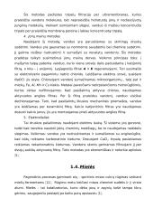Alaus gamybos technologija 16 puslapis
