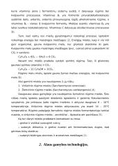 Alaus gamybos technologija 18 puslapis
