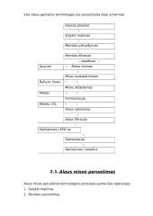Alaus gamybos technologija 19 puslapis