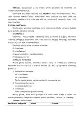 Alaus gamybos technologija 6 puslapis