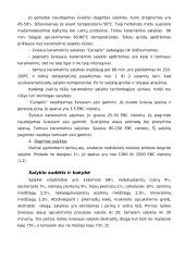 Alaus gamybos technologija 8 puslapis