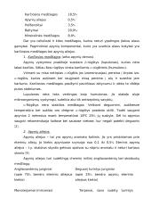 Alaus gamybos technologija 10 puslapis