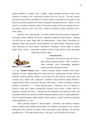 Prancūziško valgiaraščio įdiegimas 15 puslapis