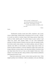 Meilės problema Platono dialoge "Puota, arba apie meilę" 2 puslapis