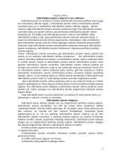 Individuali įmonė 2 puslapis