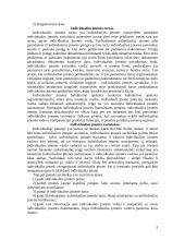 Individuali įmonė 3 puslapis
