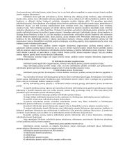 Komercinės teisės subjektas 3 puslapis