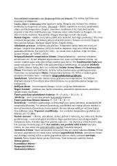 Meteorologijos pagrindai 19 puslapis