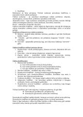 Tarpasmeniniai konfliktai ir jų sprendimai 3 puslapis