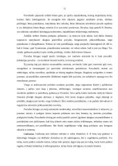 Asmeninės pozicijos formavimas 11 puslapis