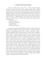 Asmeninės pozicijos formavimas 5 puslapis