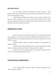 Viskas apie akcines bendroves 13 puslapis