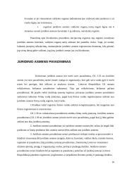 Viskas apie akcines bendroves 16 puslapis