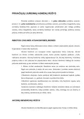 Viskas apie akcines bendroves 5 puslapis