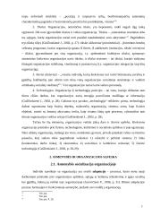 Asmenybė ir organizacija: abipusis ryšys 12 puslapis