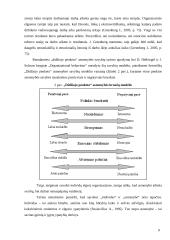 Asmenybė ir organizacija: abipusis ryšys 9 puslapis