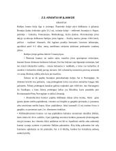 Baltijos jūros raida, geografija, tarša bei iškasenos 17 puslapis