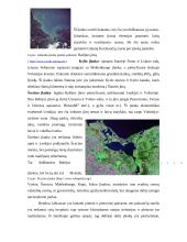 Baltijos jūros raida, geografija, tarša bei iškasenos 20 puslapis