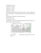 Baltijos jūros raida, geografija, tarša bei iškasenos 7 puslapis