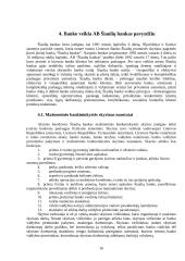 Bankininkystė 16 puslapis