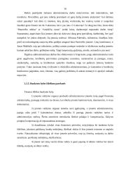 Bankrotas. Įmonių bankrutavimo priežastys Lietuvoje 16 puslapis