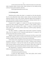 Bankrotas. Įmonių bankrutavimo priežastys Lietuvoje 17 puslapis