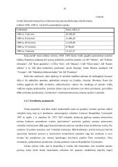 Bankrotas. Įmonių bankrutavimo priežastys Lietuvoje 19 puslapis