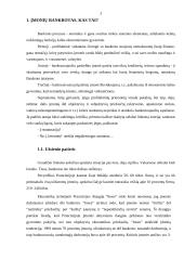 Bankrotas. Įmonių bankrutavimo priežastys Lietuvoje 3 puslapis