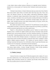 Bankrotas. Įmonių bankrutavimo priežastys Lietuvoje 4 puslapis