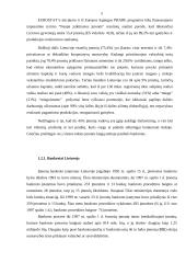 Bankrotas. Įmonių bankrutavimo priežastys Lietuvoje 5 puslapis