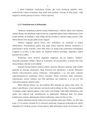 Bankrotas. Įmonių bankrutavimo priežastys Lietuvoje 7 puslapis