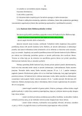 Bankrotas. Įmonių bankrutavimo priežastys Lietuvoje 10 puslapis