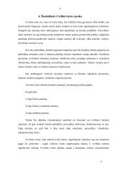 Civilinės teisės istorinė raida pasaulyje 4 puslapis