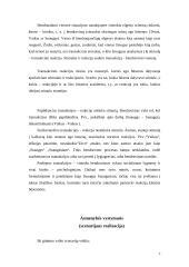 E. Berne asmenybės teorija 7 puslapis