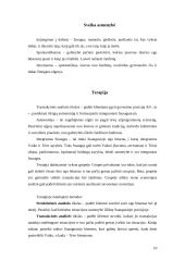 E. Berne asmenybės teorija 10 puslapis