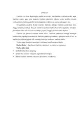 Franšizės sutarties samprata, jos šalys, sudarymo bei vykdymo ypatumai 3 puslapis