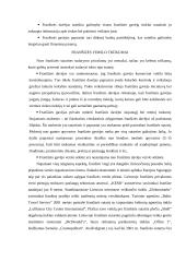 Franšizės sutarties samprata, jos šalys, sudarymo bei vykdymo ypatumai 9 puslapis