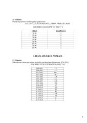 Geografinės informacinės sistemos (GIS) 8 puslapis