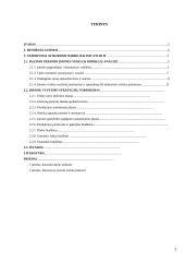 Įmonės "X" veiklos metinio plano apskaičiavimas 2 puslapis