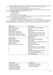 Įmonės "X" veiklos metinio plano apskaičiavimas 13 puslapis