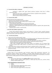 Įmonės "X" veiklos metinio plano apskaičiavimas 4 puslapis