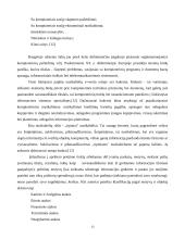 Informacijos saugumo problemos šiuolaikinėje organizacijoje 14 puslapis