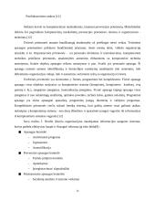 Informacijos saugumo problemos šiuolaikinėje organizacijoje 15 puslapis