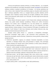 Informacijos saugumo problemos šiuolaikinėje organizacijoje 16 puslapis