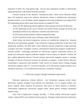 Informacijos saugumo problemos šiuolaikinėje organizacijoje 8 puslapis