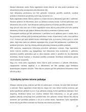 Įrodymų tyrimas pirmosios instancijos teisme 20 puslapis