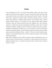 Įrodymų tyrimas pirmosios instancijos teisme 3 puslapis