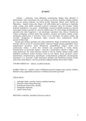 Islamas ir islamizmas: praeitis ir dabartis 2 puslapis